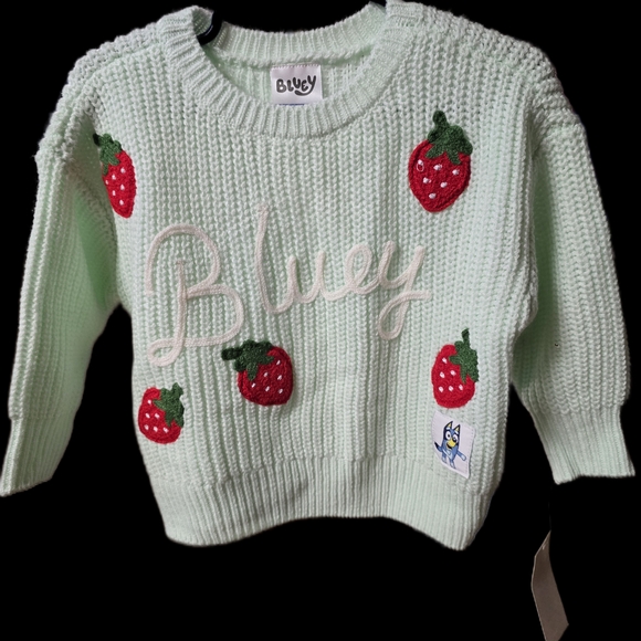 Bluey Other - Bluey Kids Mint Green Sweater with Strawberry Design